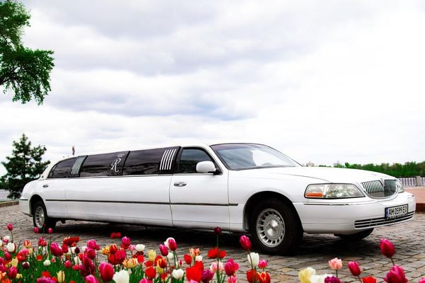 020 Лимузин Lincoln Town Car 120 Royal 36Ky