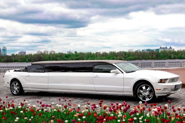 005 Лимузин Ford Mustang Limo Cabrio jNk3