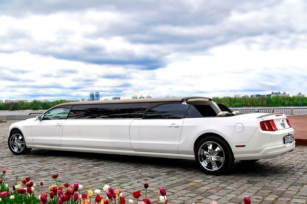 005 Лимузин Ford Mustang Limo Cabrio jNk3
