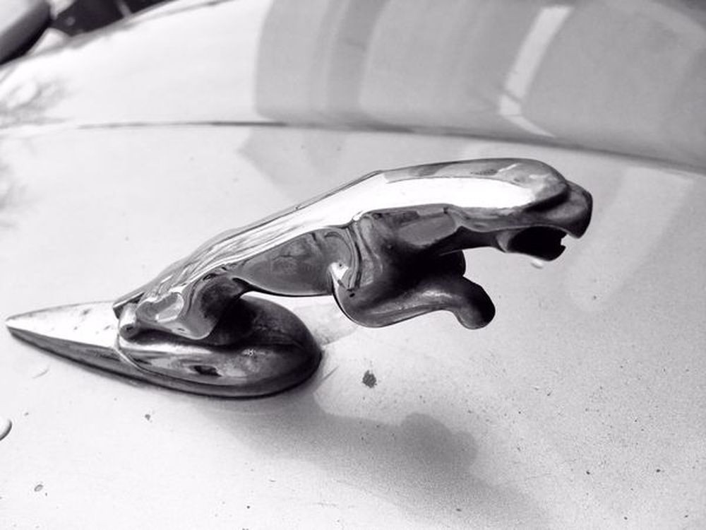 319 Jaguar X-type серебристый jeOB