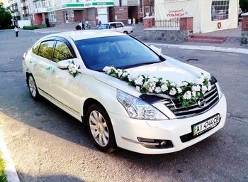 141 Nissan Teana белая авто на свадьбу jD6n