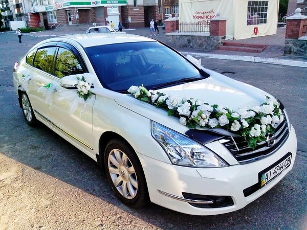 141 Nissan Teana белая авто на свадьбу jD6n