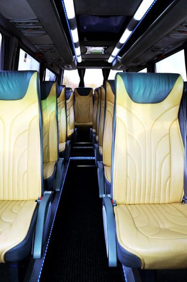 309 Микроавтобус Mercedes Sprinter черный VIP 516 lLb7