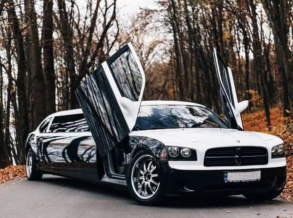 282 Dodge Charger Limo на свадьбу 2Wm9