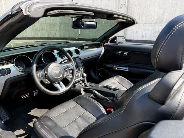 365 Кабриолет Ford Mustang GT черный с водителем Pmne