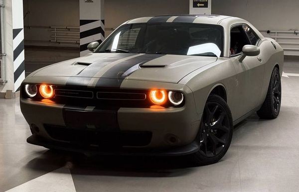 421 Dodge Challenger 3.6 л без водителя для фотосессии wvpK