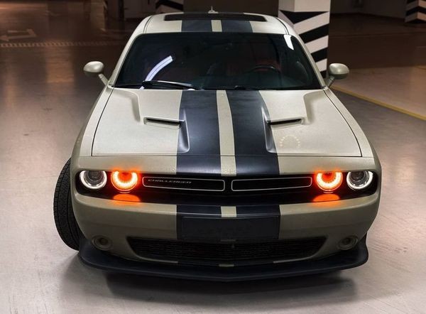 421 Dodge Challenger 3.6 л без водителя для фотосессии 6LXr