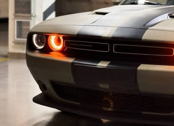 421 Dodge Challenger 3.6 л без водителя для фотосессии 6LXr