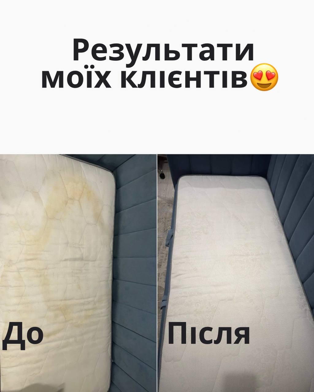 Миючий пилосос Karcher для хімчистки nmWg